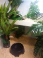 /album/unsere-terrarien/handy-146-jpg/